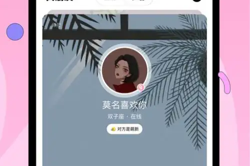 丝瓜聊天有电脑版吗